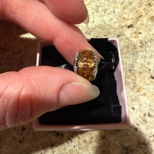 Disney The Lion King Murano Glass Charm